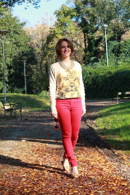 Roar (with my red pants).