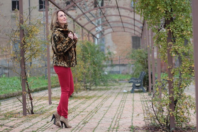 Leopard Print Coat & Look Fabulous (Ways to Wear)