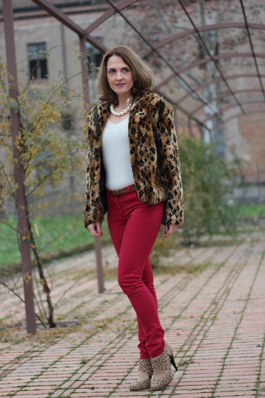 Fashion blogger, Fashion blog, Maggie Dallospedale fashion diary, fashion outfit, Ways to Wear a Leopard Print Coat & Look Fabulous!