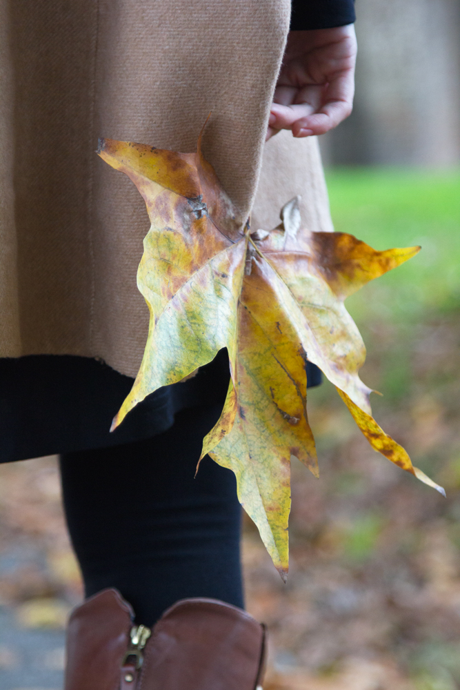 Fall season