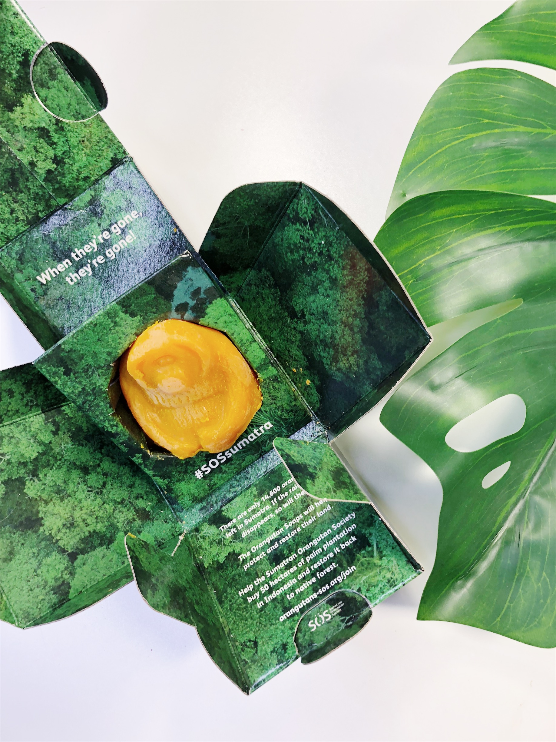 SOS Sumatra: Salviamo gli orango grazie anche a Lush 