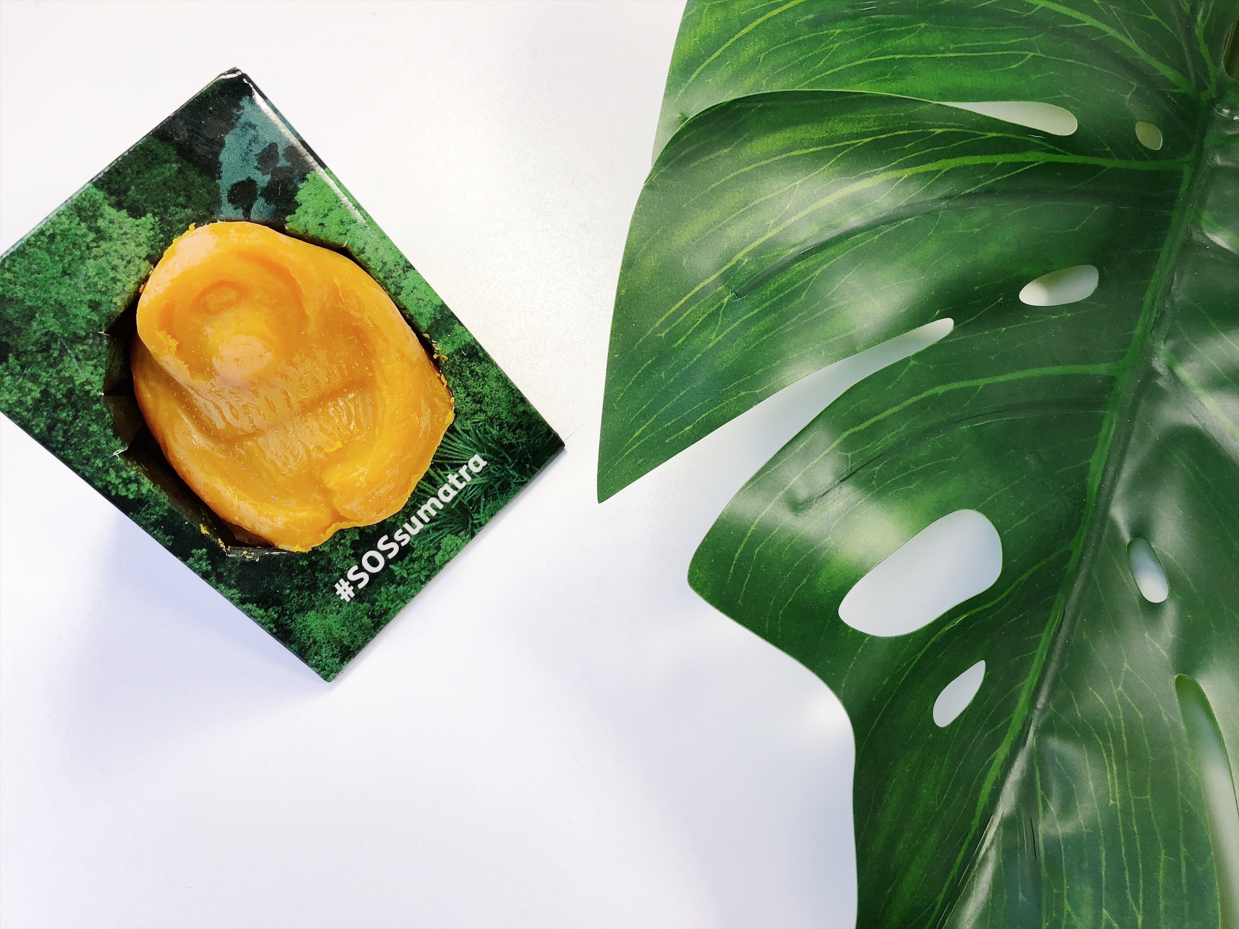 SOS Sumatra: Salviamo gli orango grazie anche a Lush