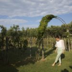 Olimagio, a beautiful country house in Versilia (Tuscany)