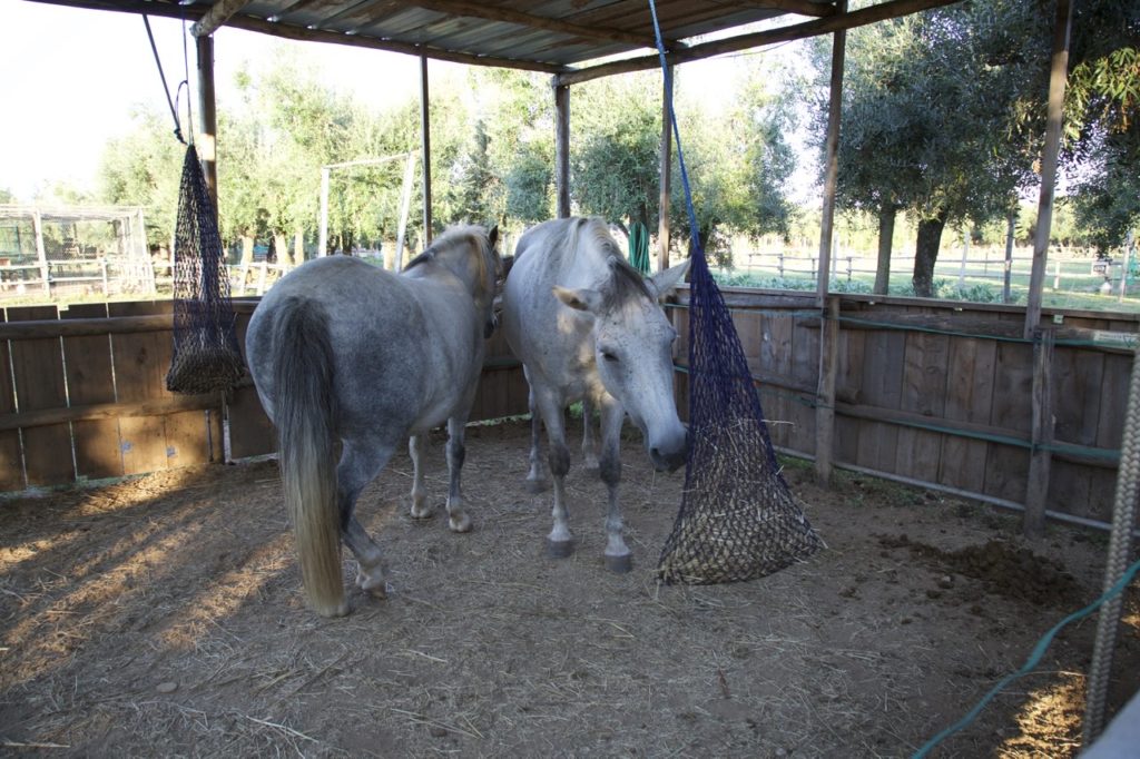 Olimagio, a beautiful country house in Versilia (Tuscany)