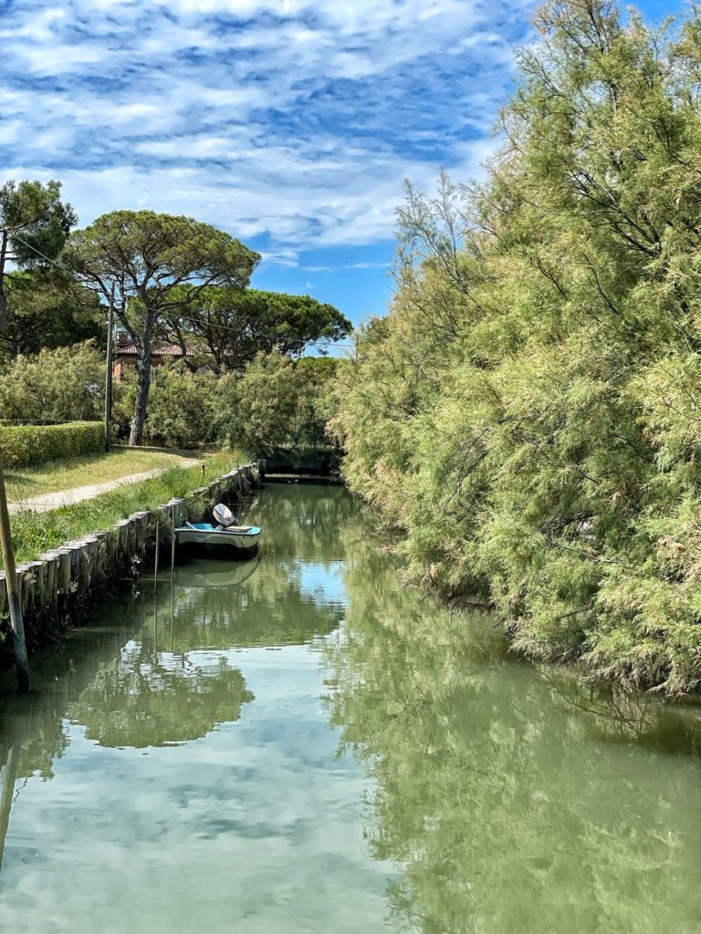 Alla scoperta dei vigneti sperimentali di Venezia (nell’isola di Torcello e  nel convento dei Carmelitani Scalzi)