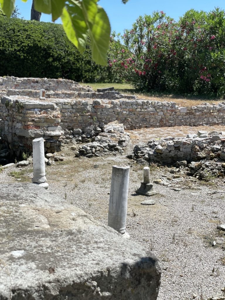 Alla scoperta dei vigneti sperimentali di Venezia (nell’isola di Torcello e  nel convento dei Carmelitani Scalzi)