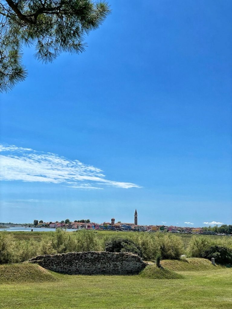 Alla scoperta dei vigneti sperimentali di Venezia (nell’isola di Torcello e  nel convento dei Carmelitani Scalzi)