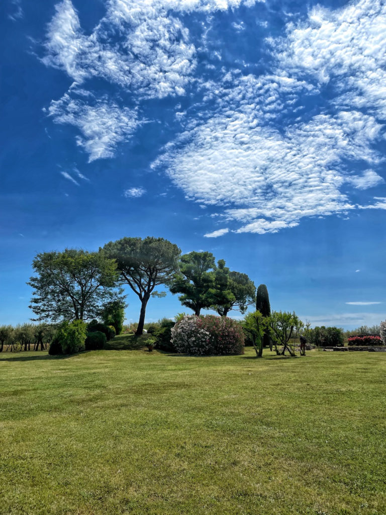 Alla scoperta dei vigneti sperimentali di Venezia (nell’isola di Torcello e  nel convento dei Carmelitani Scalzi)