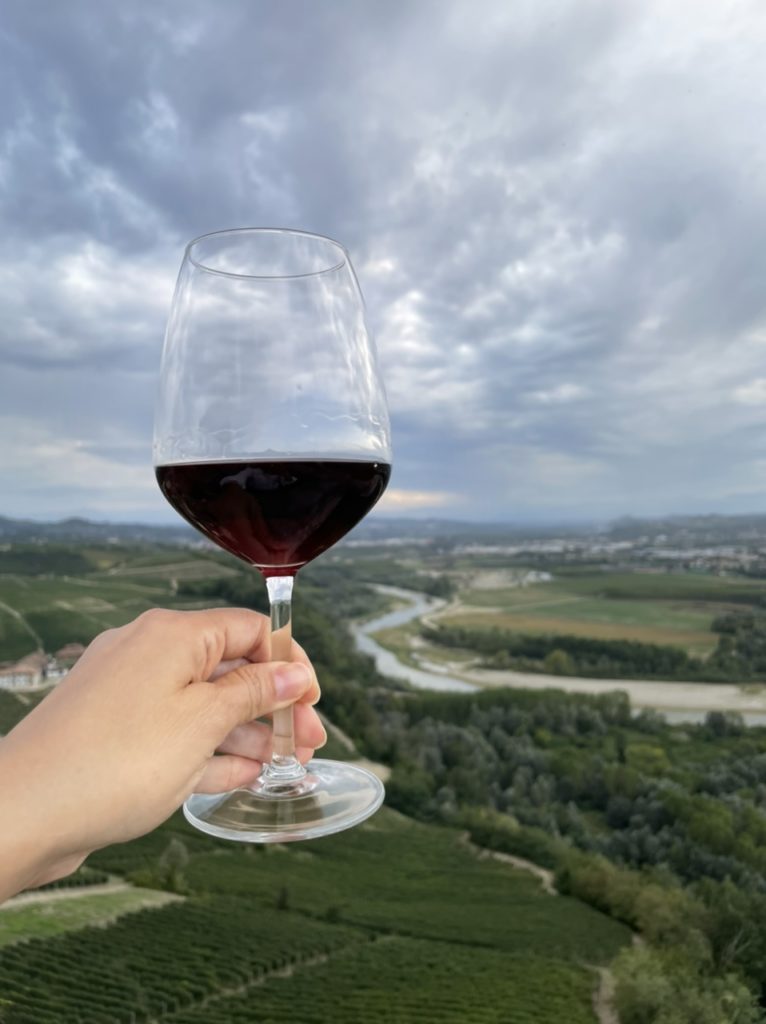 Albeisa: valorizzare il patrimonio vitivinicolo di Langa e Roero