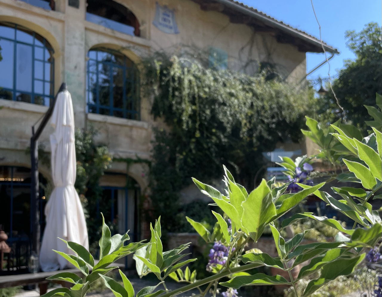 Casa Scaparone: una bellissima esperienza in agriturismo nelle Langhe