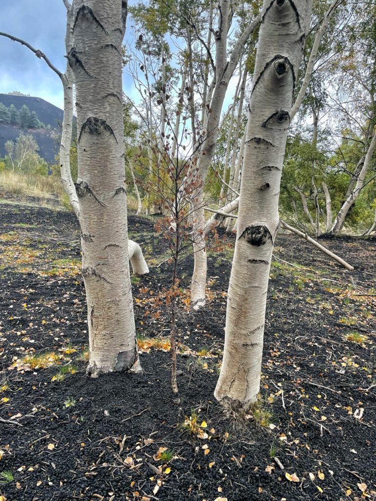 Experimenta Siciliae: scoprire la Riviera Jonica Etnea in autunno