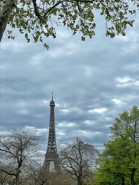 Torre Eiffel, uno dei monumenti più visitato di Parigi