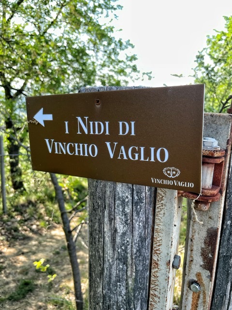 I nidi di Vinchio e Vaglio Serra: immergersi nella natura gustando un calice di Barbera