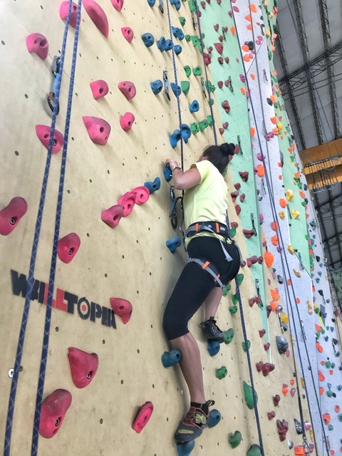 Arrampicata sportiva: fattori determinanti nella performance
