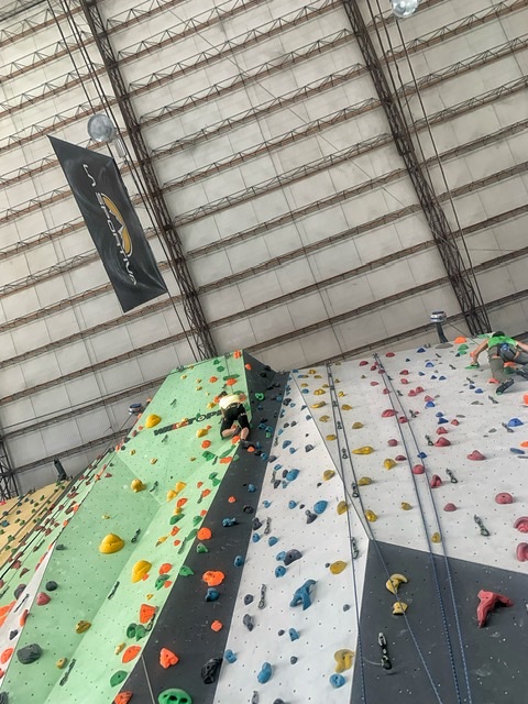 Arrampicata sportiva: fattori determinanti nella performance