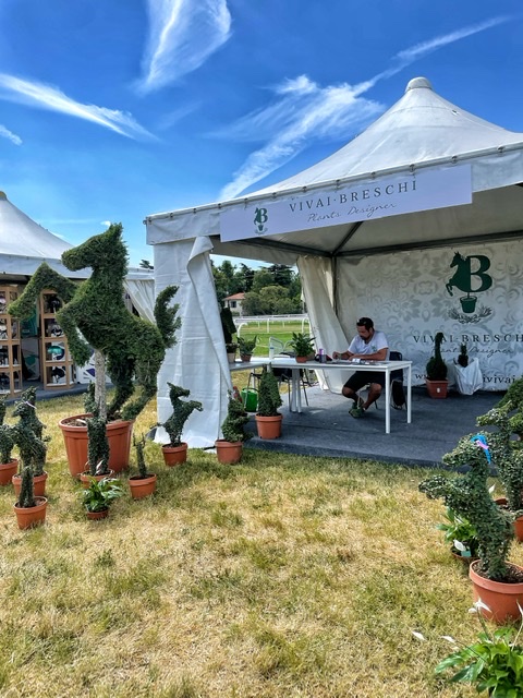 Andare a cavallo: ecco alcuni benefici di questo sport