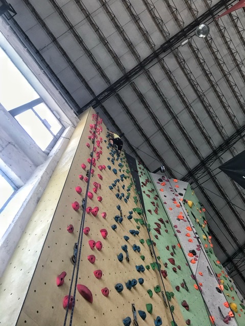 Arrampicata sportiva: fattori determinanti nella performance