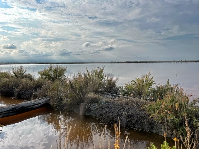Saline di Cervia: alla scoperta del sale dolce di Cervia