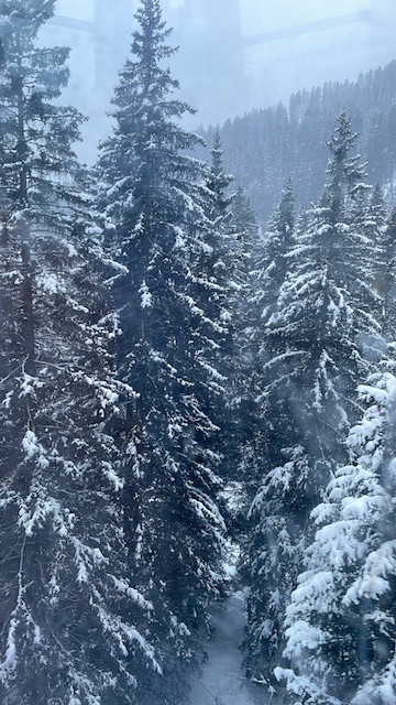 Madonna di Campiglio in inverno: cosa vedere se non vuoi sciare