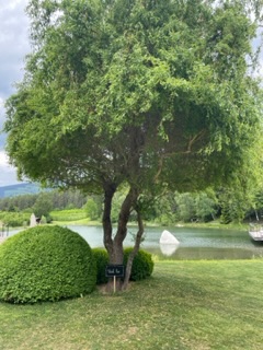 Seehof Nature Retreat