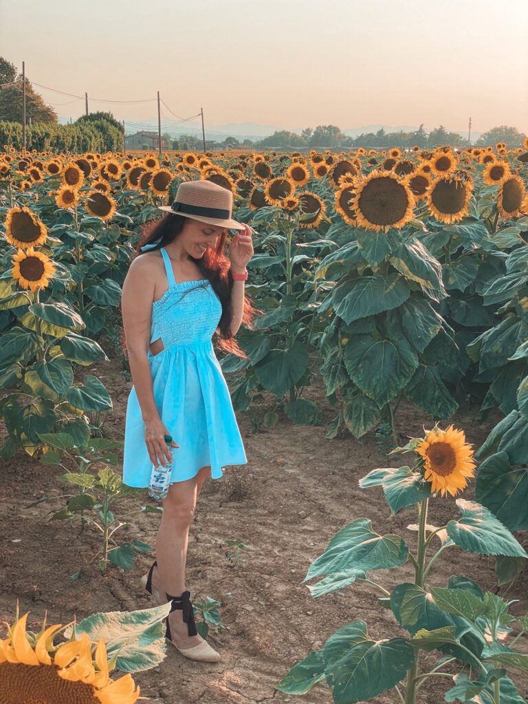 Mese dei Girasoli: quando vederli, dove piantarli, il loro significato e a chi regalarli