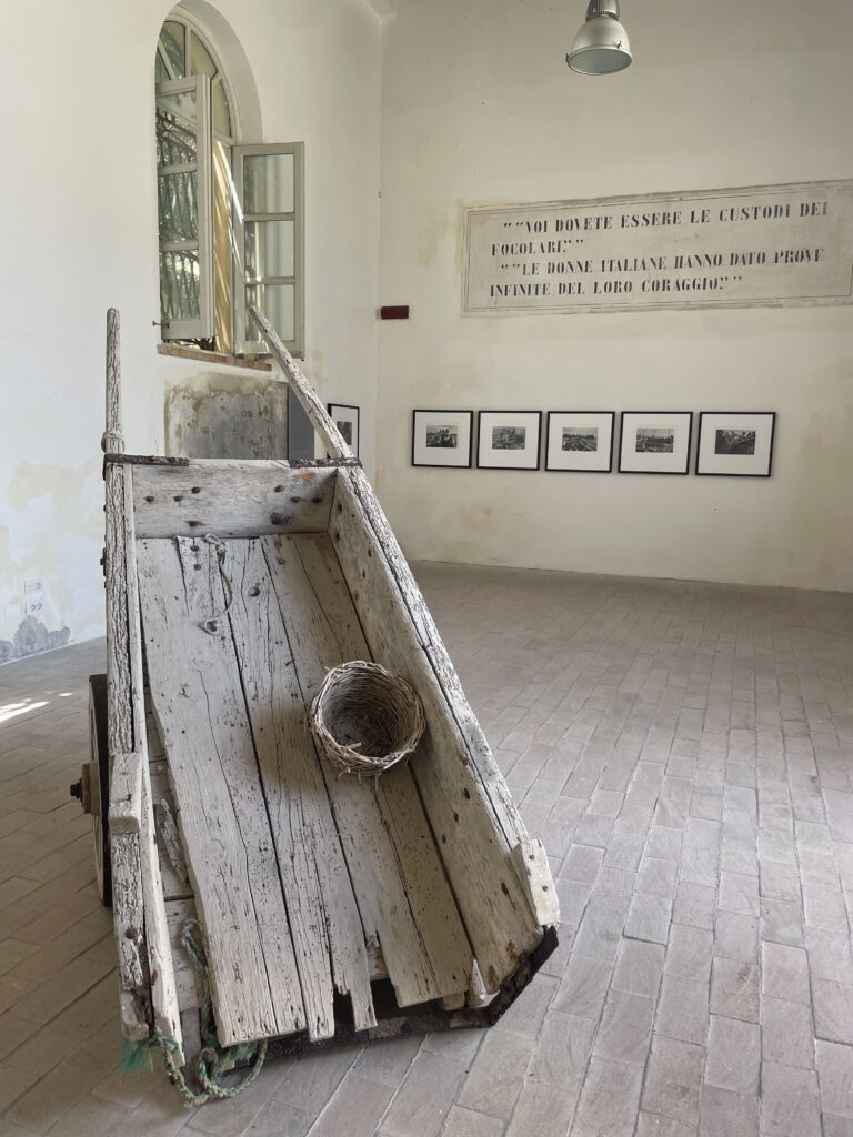 Favignana: l'Isola incantata dell'Egadi che ti lascerà senza fiato