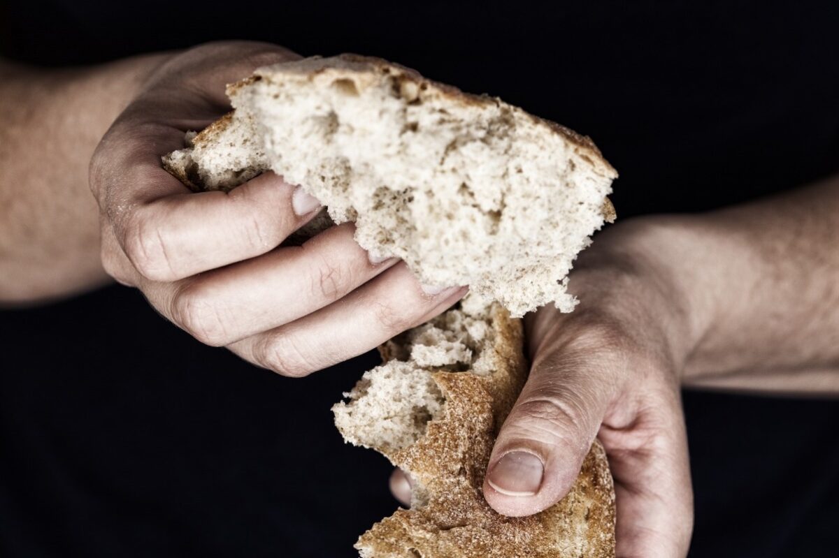 Un'armonia di sapori e spiritualità: FratelloCibo ad Assisi