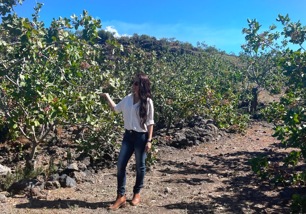 L'incantevole storia del pistacchio di Bronte