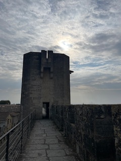 Aigues-Mortes: Scopri la città fortezza nella Camargue