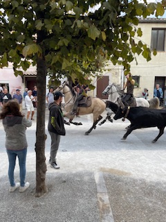 Le Feste di Aigues-Mortes: Tradizioni e Celebrazioni