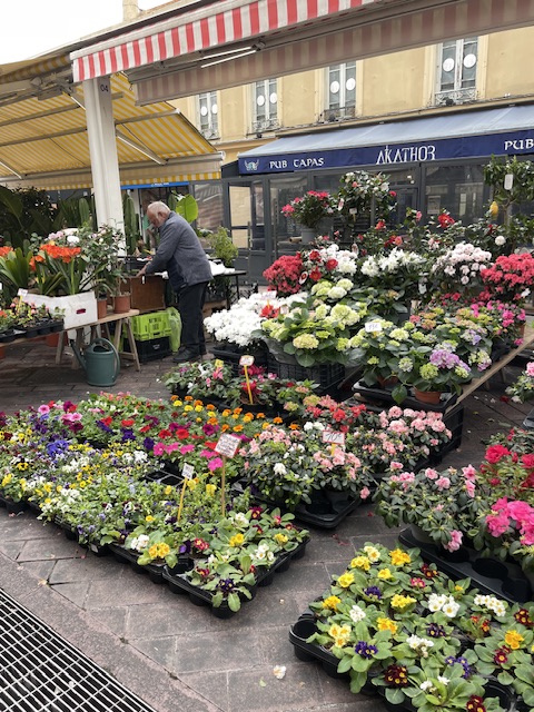 Mercati di Nizza: Un viaggio nei sapori e nelle tradizioni