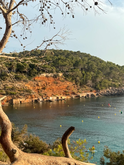 Cala Salada: la perla nascosta di Ibiza