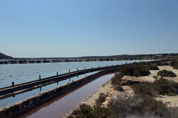 Ses Salinas: la spiaggia chic di Ibiza