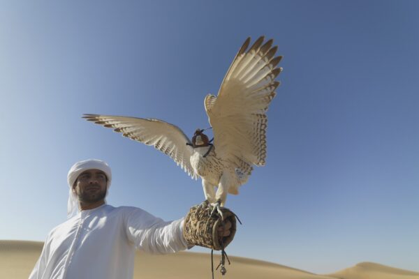 Emirati Arabi Uniti: un viaggio tra lusso e tradizione