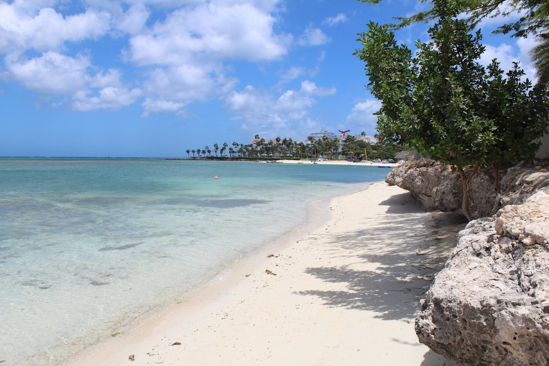 Aruba a piedi: Itinerari per esplorare l’isola