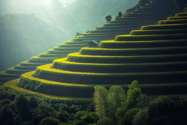 Bali: l'isola degli Dei - Guida completa per il tuo viaggio