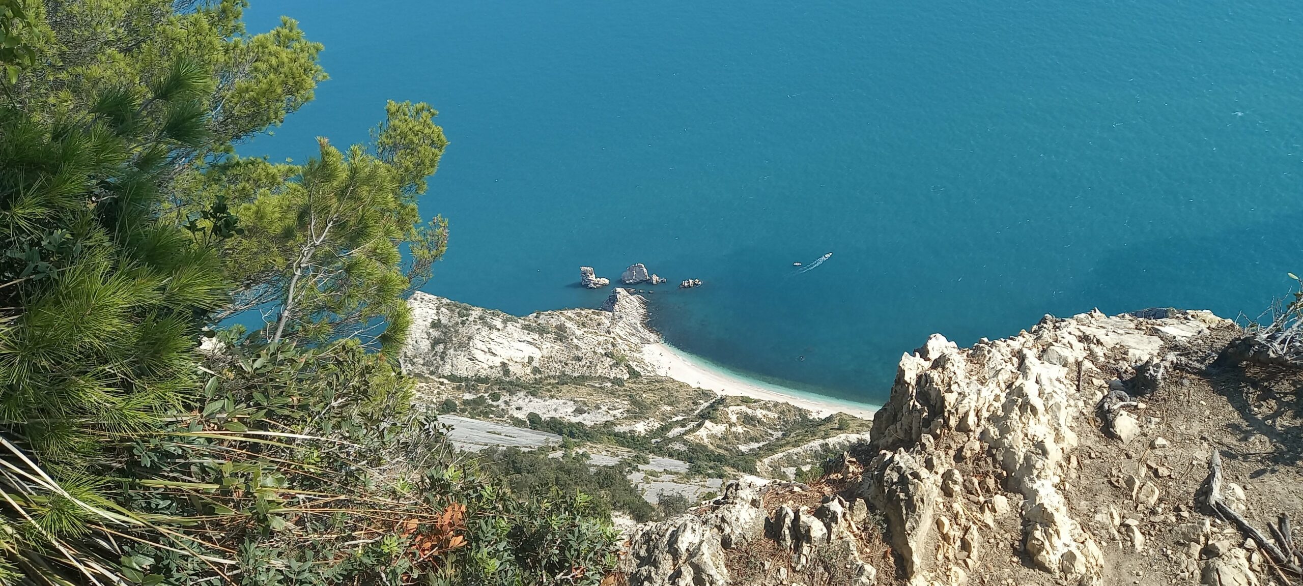 Monte Conero: escursione ad anello con vista mare