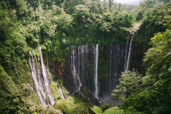 Indonesia da sogno: 3 esperienze da non perdere