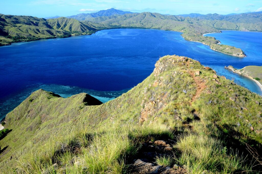 Komodo e Flores: il cuore selvaggio dell’Indonesia