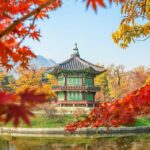 Dongsangnye: quando il matrimonio coreano inizia con piedi