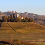 Perché visitare Alba a maggio? Scopri i colori, i profumi, il clima ideale, gli eventi e la gastronomia primaverile di questa città.