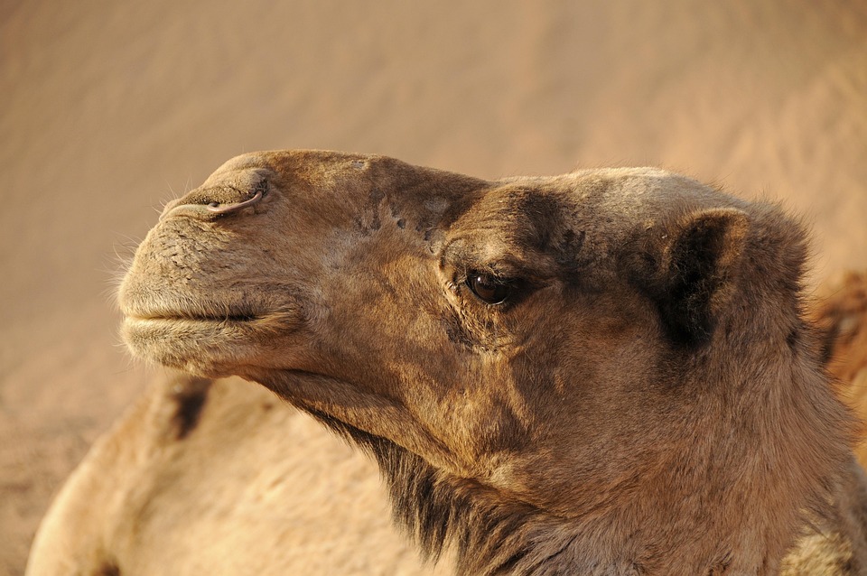 Cosa mettere in valigia per il Marocco: guida essenziale per un viaggio perfetto