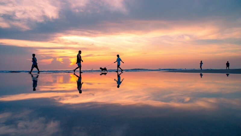 Come esplorare il mondo trasforma chi siamo