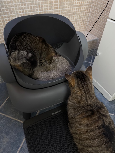 Lettiera automatica Neakasa M1 Open-top Cat Litter Box