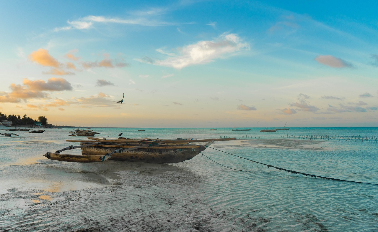 Zanzibar: un viaggio sensoriale nell’isola delle spezie