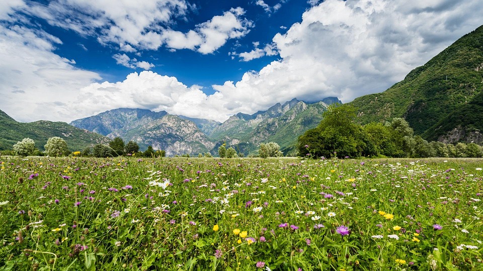 Valtellina: tra vini eroici, borghi incantati e paesaggi da sogno