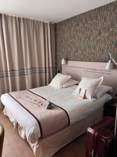 Hôtel Littéraire Alexandre Vialatte per il mio soggiorno a Clermont-Ferrand