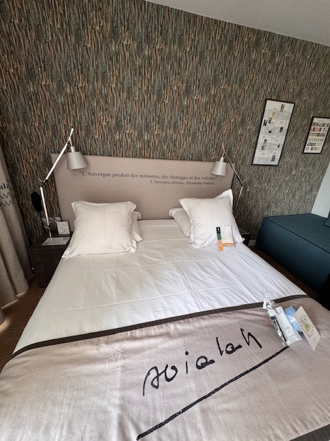 Hôtel Littéraire Alexandre Vialatte per il mio soggiorno a Clermont-Ferrand
