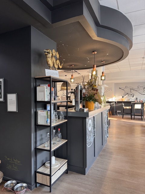 Hôtel Littéraire Alexandre Vialatte per il mio soggiorno a Clermont-Ferrand