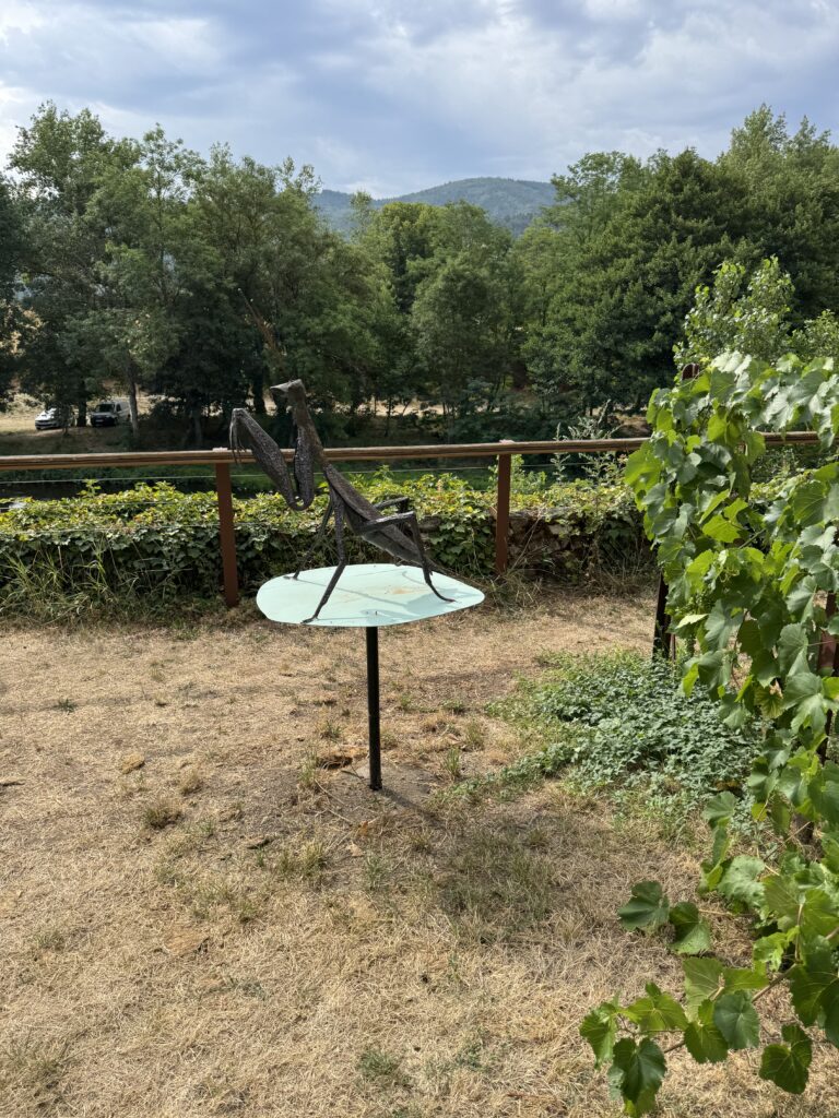 Lavoûte-Chilhac: il mio road trip in mobylette vintage tra i borghi dell’Alvernia